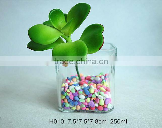 250ml fashion clear glass vase