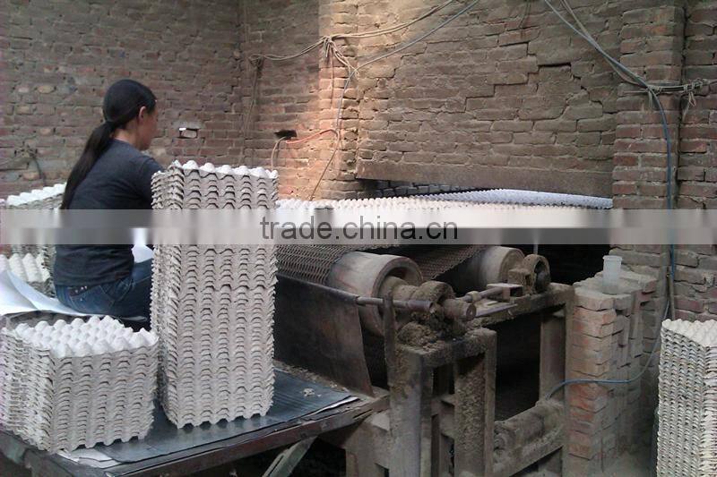 China machines making egg tray cartons