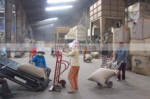 VIETNAM WET POLISHED ROBUSTA COFFEE BEANS S16(+841657106604 - WHATSAPP)