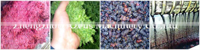 Industrial flower juice machine/flowers juice extractor