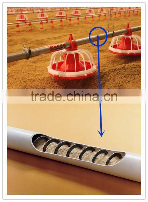 automatic equipment poultry auger feeder