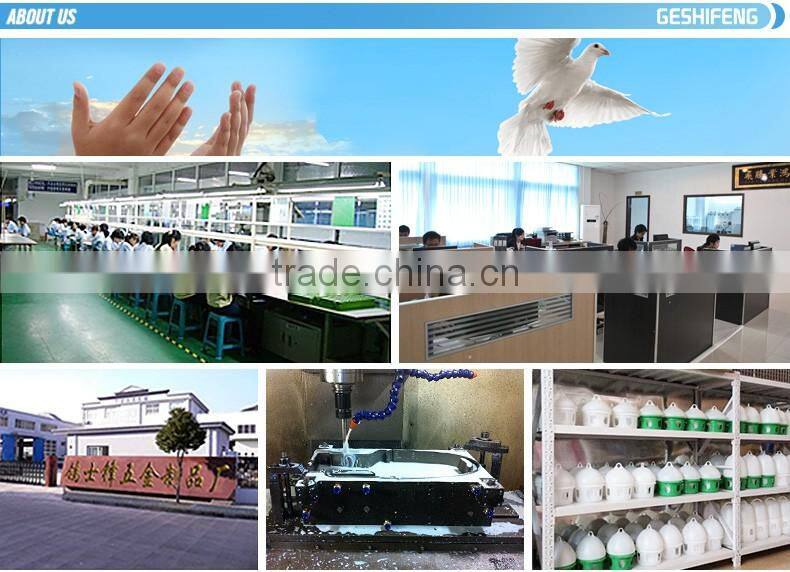 pigeon ring factory geshifeng factory plastic ring for bird tag made in China
