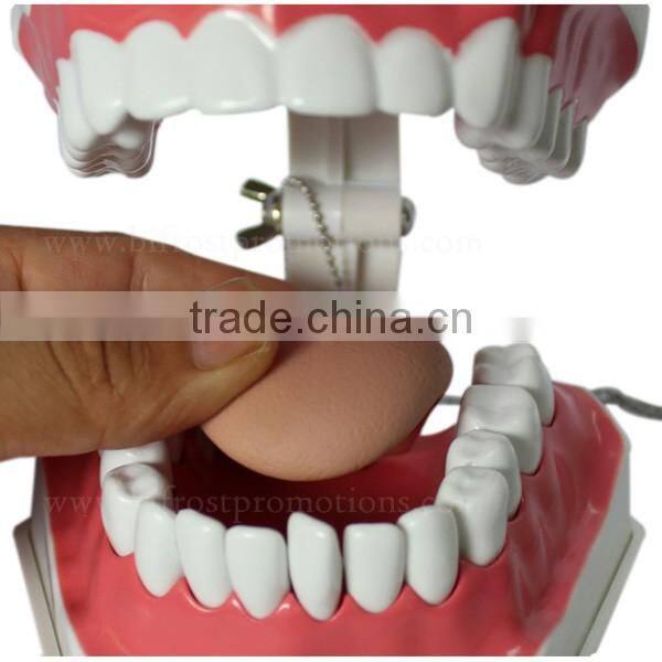 Handmade Plastic Dental Jaws Human Teeth Model