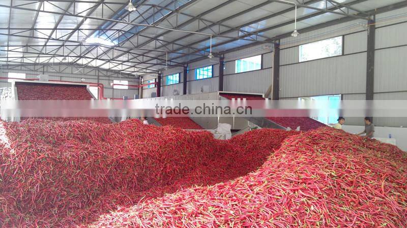 high effective food drying machine,food dehydration machine/mushroom dehydrator/vegetable drying machine with top quality