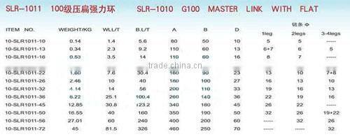 SLR1011-G100 Master Link