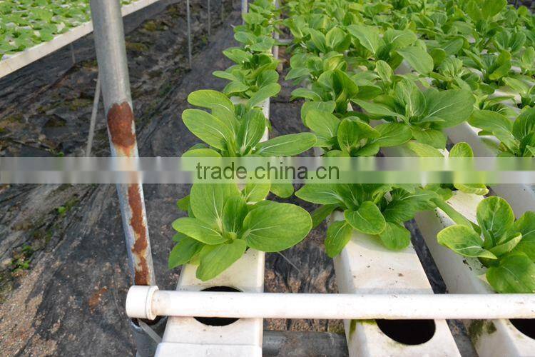 PVC Hydroponics square tube Industrial Hydroponic System