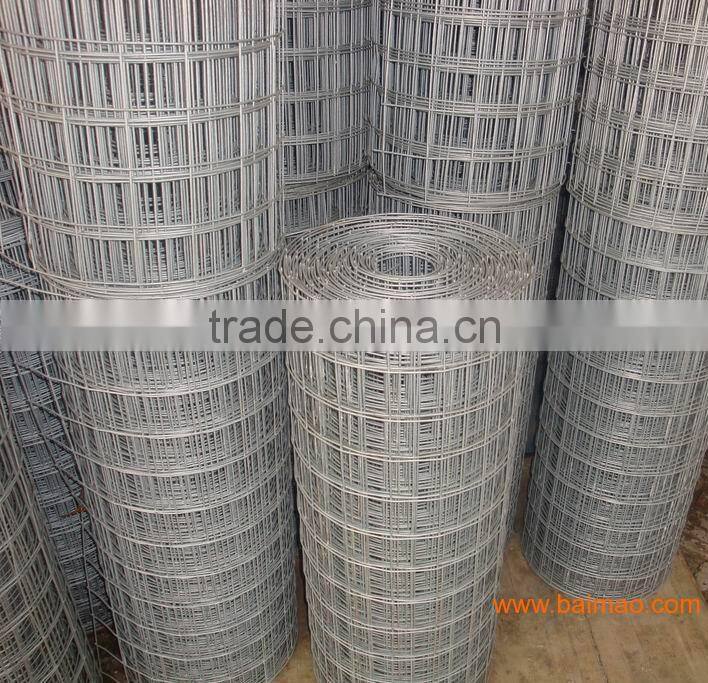 Galvanized Welded Wire Mesh Panel