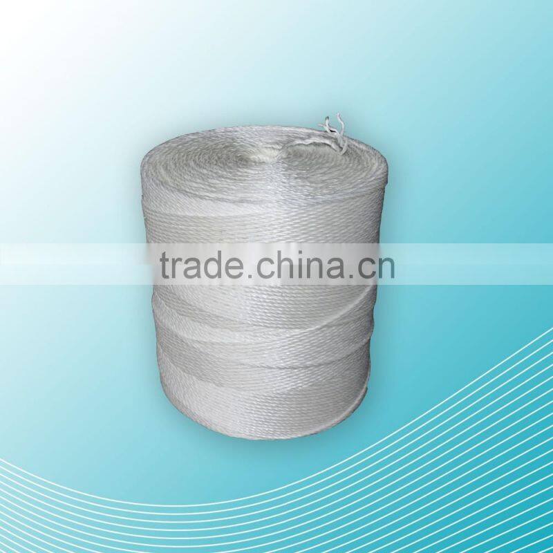 Professional Hanging Tomato Tree Hook Twine