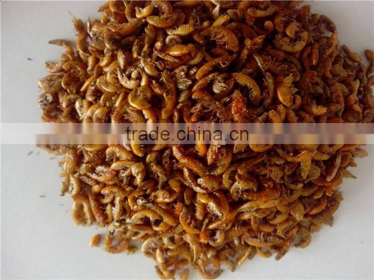Cat Food High Protein Freeze 1 cm Dried Gammarus;Gammarus For Cat
