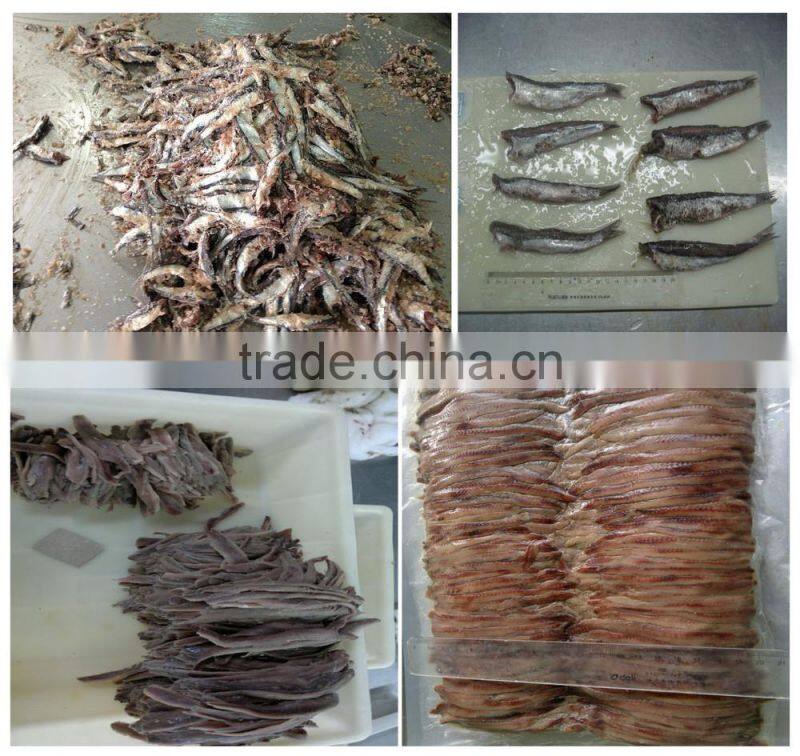 salted anchovy in barrel