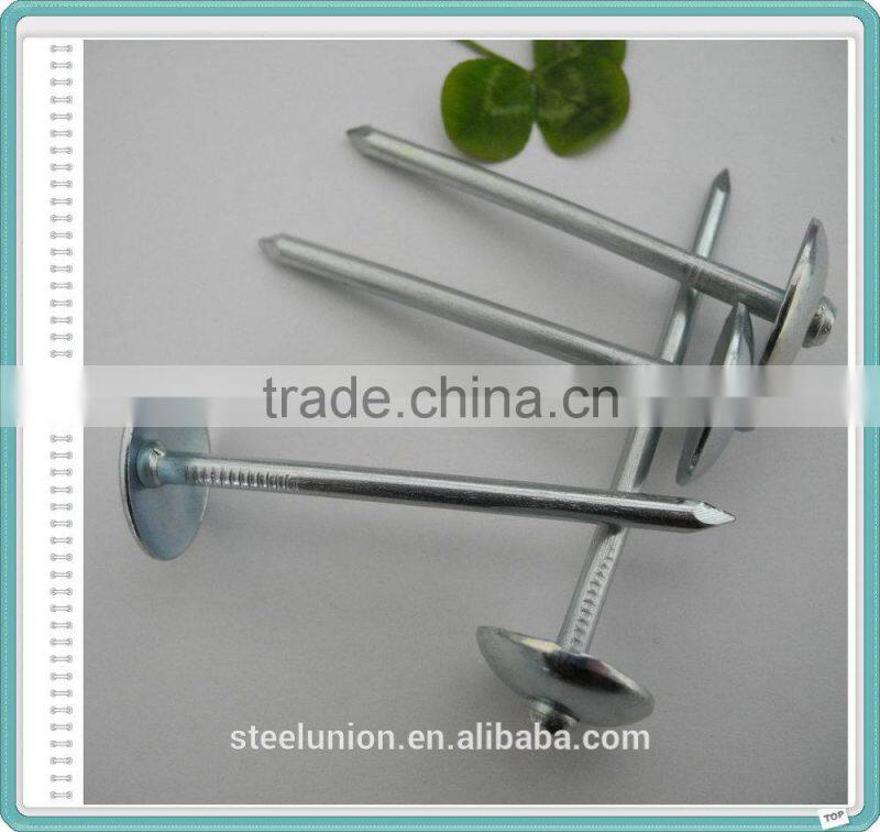 Hot Supply Galvanized Umbrella Head Roofing Nails