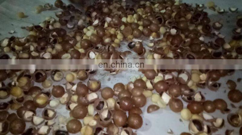 high shelling rate macadamia cracking machine