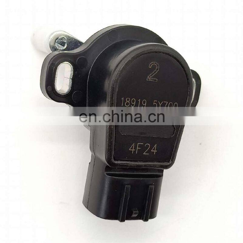 Accelerator Unit 18919-5Y700 for Nissan