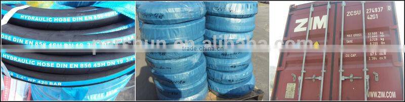 ISO 9001 Certified High Pressure Car Washer Hose