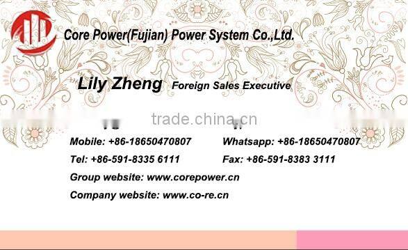 Electric Vehicle DC Charging station made in China