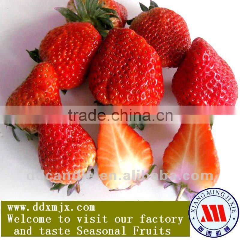 (Thick wick) Wick Waxing Machine,diamter 5mm (thick wick)