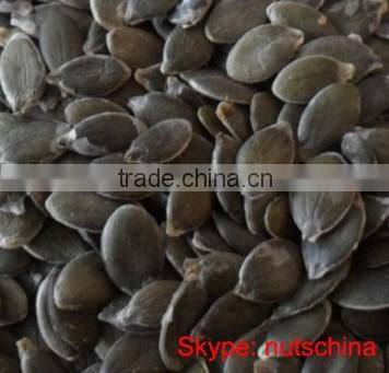 Pumpkin Seeds GWS AAA/AA/A/ oil grade