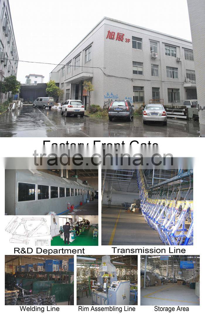 24" beach cruiser chopper bike / cheap single speed cruiser bike (B-24002)