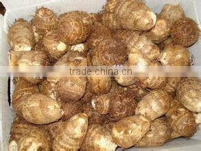 New crop dried taro stem with competitive export price