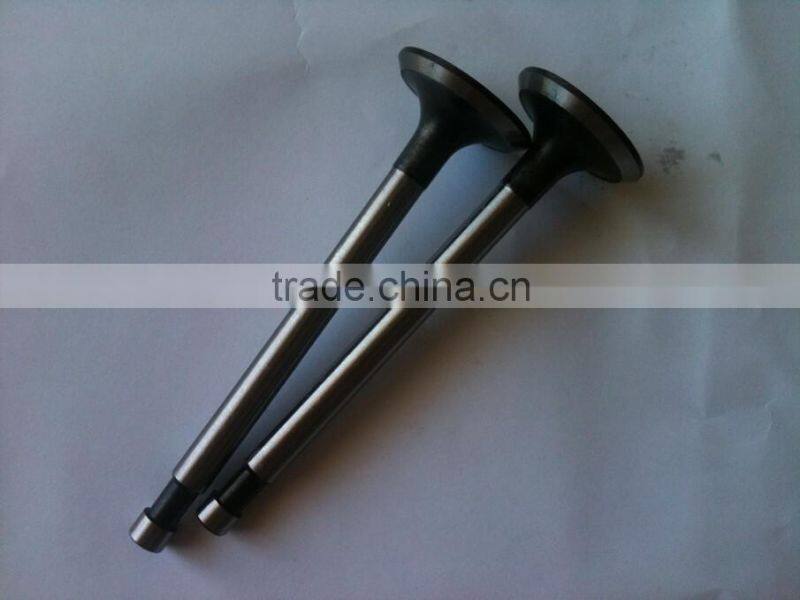 Hebei Factory Farm Tractor Parts Diesel Engine Valve/Valve for Diesel Engine