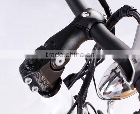 Electric bicycle (Model SEB350U)