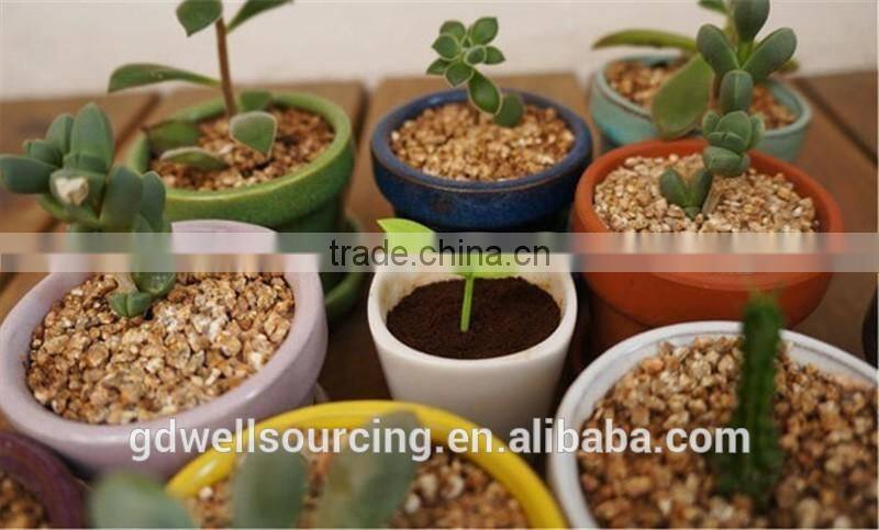 Bookzzicard multi-colored silicone Sprouts bookmark Funny accessories Office School Supplies Bookmarks