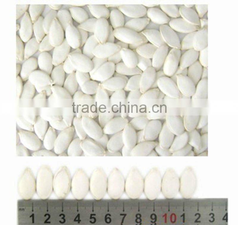 snow white pumpkin seeds