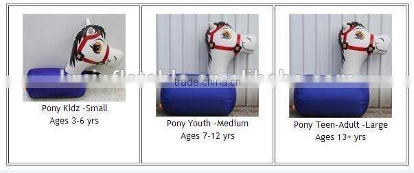 inflatable pony for Derby race game
