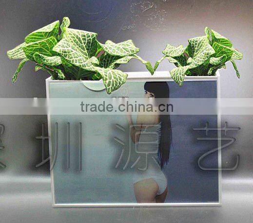 cube acrylic vase fillers