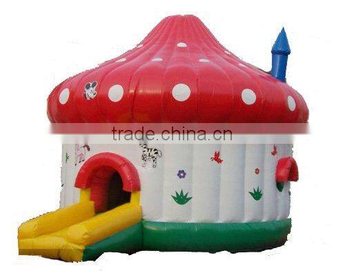 Bouncy Castles Inflatable