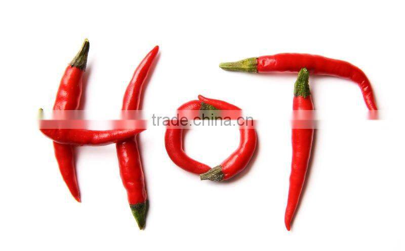 Silicone ear plug body jewelry, fashion flexible ear tunnel piercing jewelry