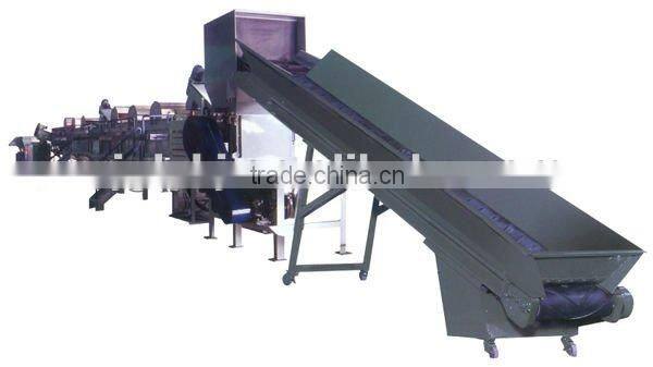 PET Flakes Washing Line