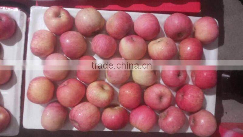 Chinese Exporter Fresh Red Fuji Apple Fruits Natural Growth Containing Vitamin C