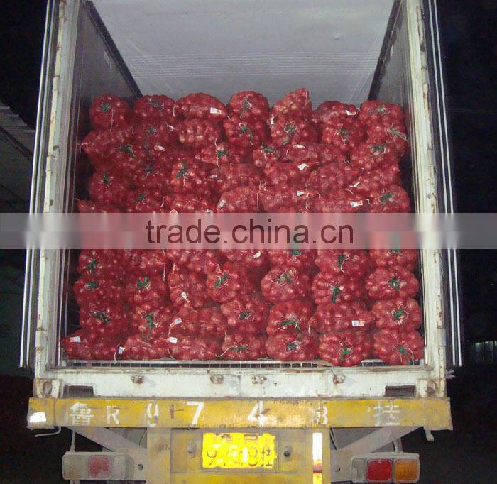 China new crop fresh onion