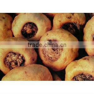 2014 GMP&Kosher BNP Best quality Natural maca extract/Lepidium Meyenii Powder Extract for Men Sexual