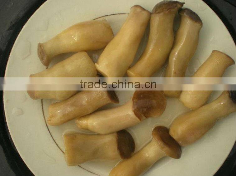 Canned whole button mushroom, mushroom champignon