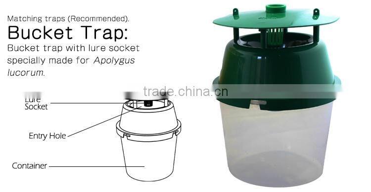 Pheromone Lure for Apolygus lucorum, Pheromone Attractant & Pheromone Trap for Apolygus lucorum