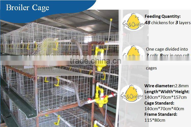 Canton Fair chicken layer cage and poultry equipment supplier manufacturer (Guangzhou Factory)