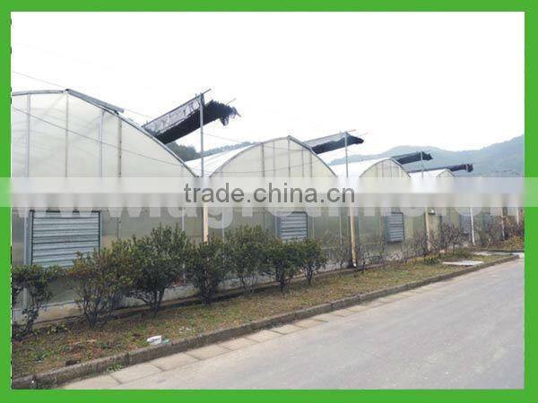 greenhouse with ventilation system from big greenhouse manufacturer in China