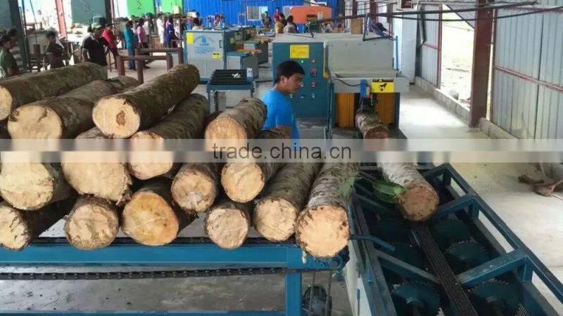 Log Multi-Blade Rip Saw and Board Edger