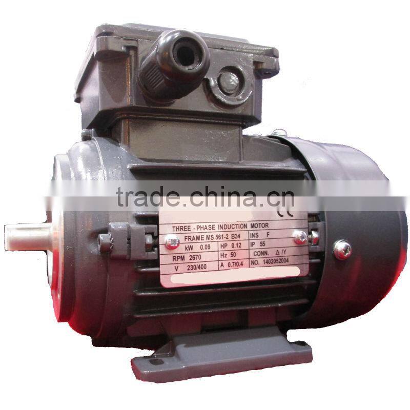 IE1 Standard Three Phase Asynchronius Motors Aluminum Housing MS561 2