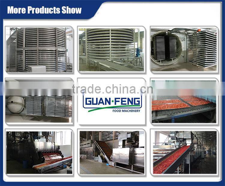 Automatic continuous frying machine