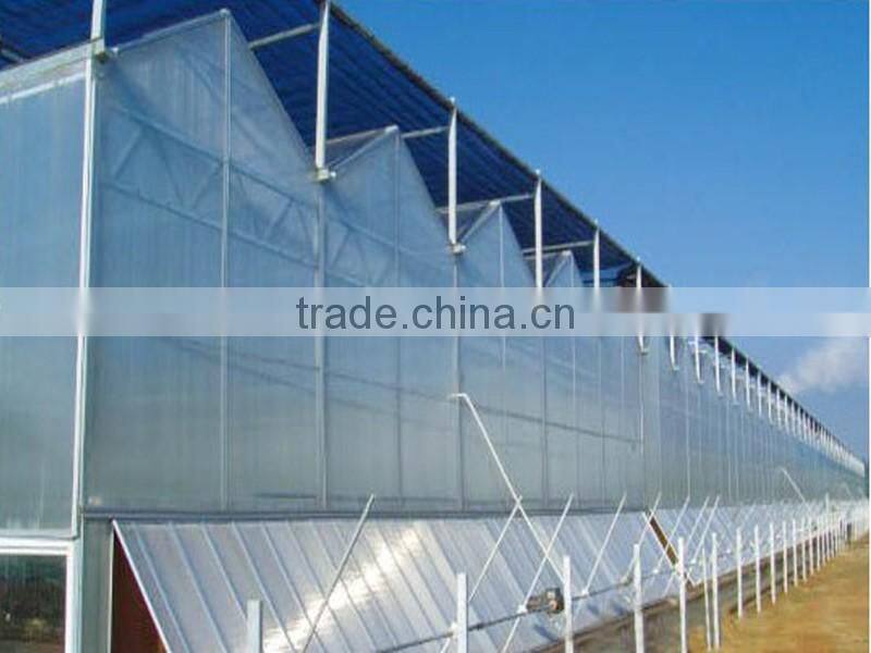 Galvanized steel structure pc sheet cover greenhouses