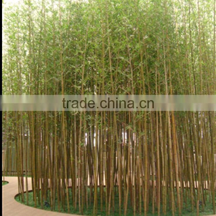 SJ13001216 Cheap plastic bamboo plant for indoor & outdoor landscaping decoration