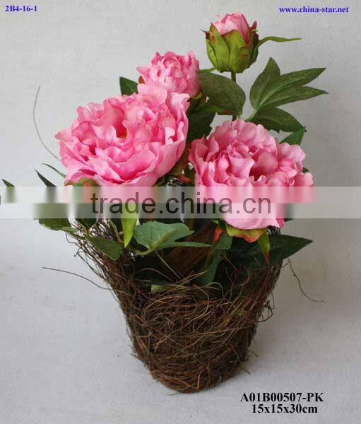 potted peony