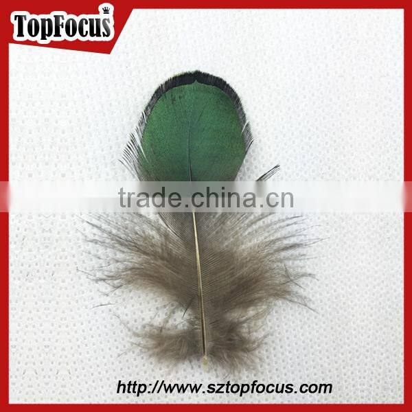 new hot carnival costume trimming fringe green pheasant feathers prices