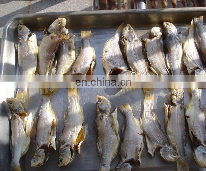 Fish Drying Machine/Mushroom Dryer/Mushroom Hot Air Drying Oven