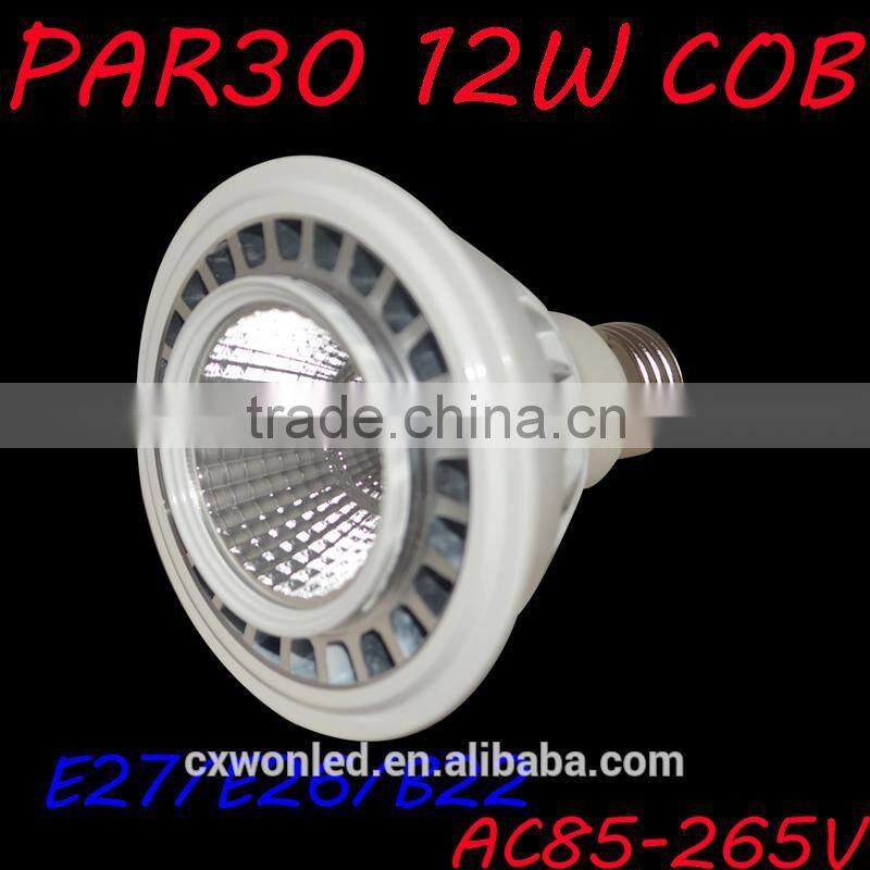 Cheap Price E27 LED PAR 30, White 12W PAR 30 LED, E27 High Power PAR 30