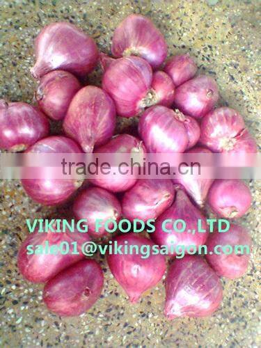 GOOD SOURCE _ *FRESH SMALL ONION* _ GOOD QUALITY