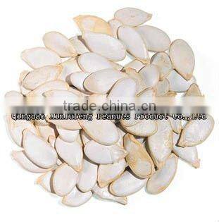 Pumpkin seeds in shell